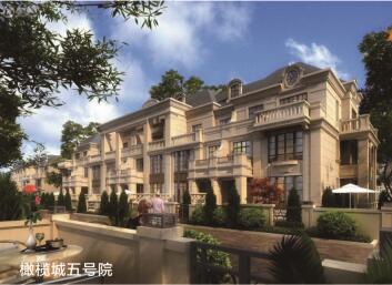 橄欖城五號院安裝木質(zhì)防火門